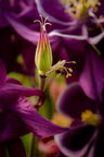 E08725FT FE