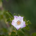 F69862 FE